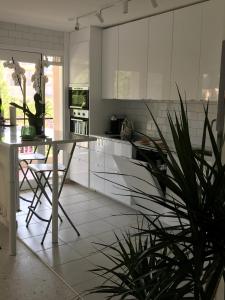 Appartement Cannes Prince de Galles 19 Avenue Prince de Galles 06400 Cannes Provence-Alpes-Côte d\'Azur