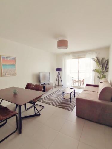Cannes un spacieux appartement