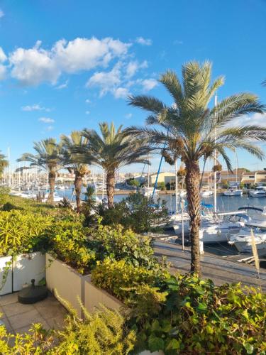Cap Capistol Studio avec terrasse, vue port