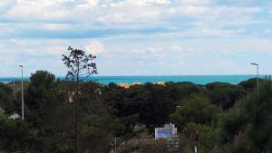 Cap Confort