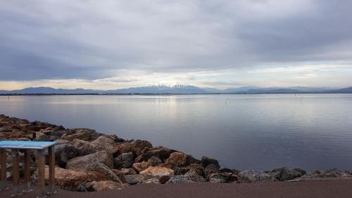 cap coudalere