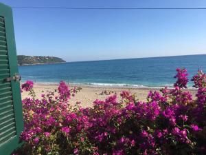 Cap d.Azur