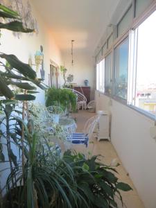 Caparica for Rent