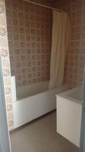Carcassonne : studio idéalement situé