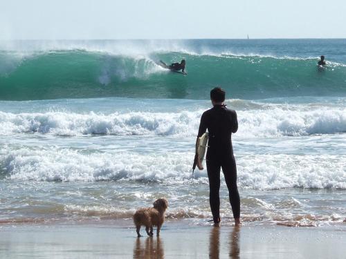 Carcavelos Surf