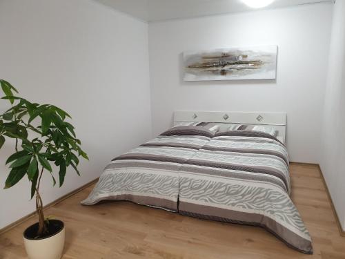 Carina Apartment