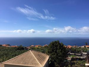 Appartement Casa Annie Rua Ledo, 32, Arco da Calheta 9370-073 Arco da Calheta Madère