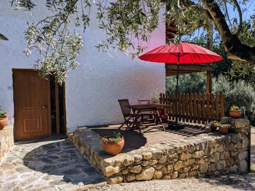 Casa Canela apartment and pool.