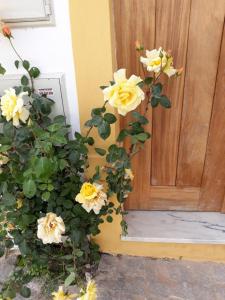 Casa d'Avó