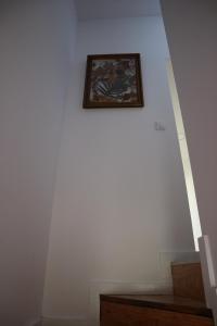 Casa das Antas