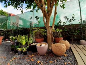 Casa das Yucas - Pátio Apartment