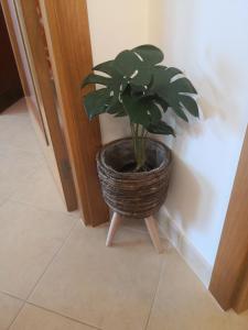 Casa de Praia -