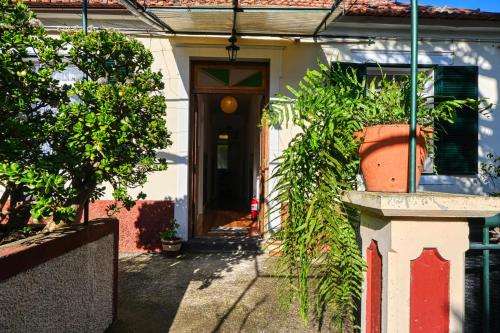Casa do Pinheiro, a Home in Madeira
