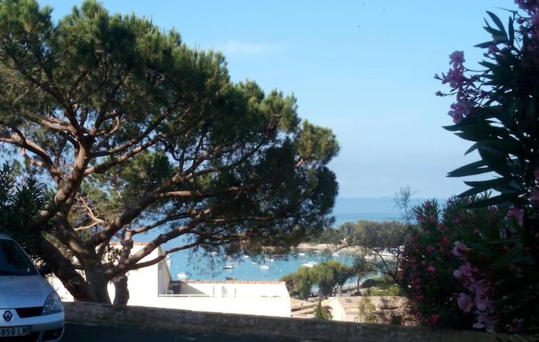 Casa do Zézêras 2450-184 Nazaré