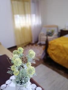 Casa Golfinho (Sul) - Costa Nova