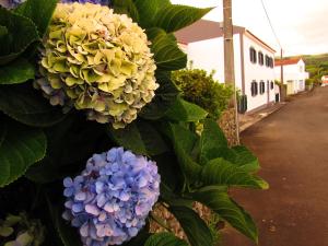 Appartement Casa L&M Rua Professor Francisco Rodrigues Vieira, nº 2 9960-220 Lajes das Flores Açores