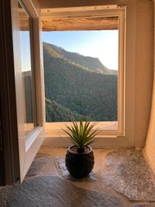 Casa LiLi