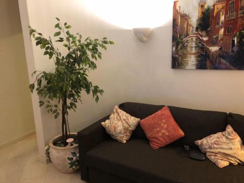 Casa Lucinha
