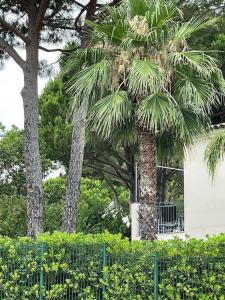CASA RAMA ST Tropez