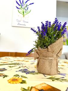 Casa Vacanze Lavanda