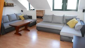 CasaColombia traumhafte Neustadt-Wohnung am Park