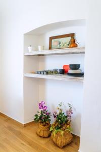 Casas Santo Antonio T0
