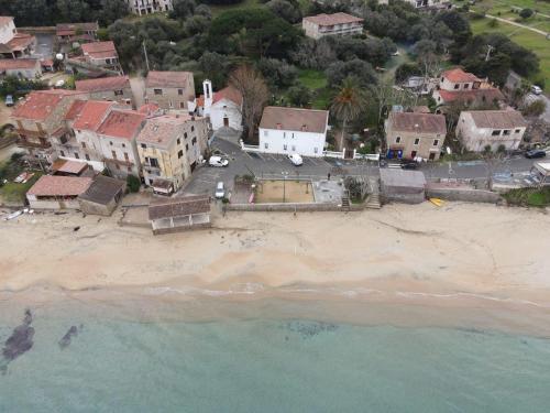 Casonu