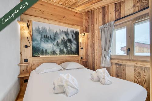 Cassiopée 604 - Duplex - Ski aux pieds