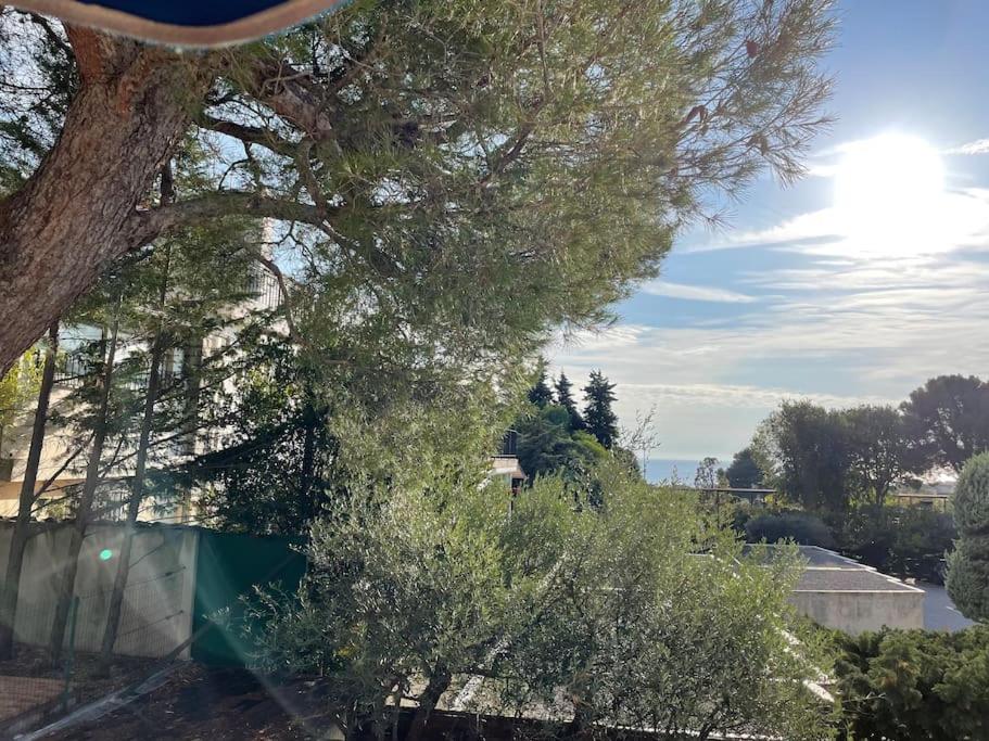 Cassis, superbe appartement avec terrasse 5 Avenue Joseph Liautaud, 13260 Cassis