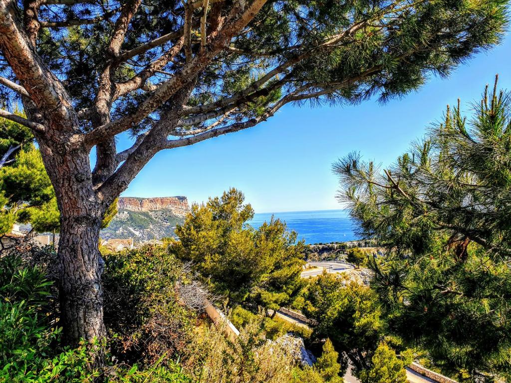 CassisFamily Cap des Terrasses - résidence Eleis Allée des Lauriers, 13260 Cassis