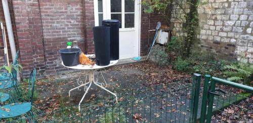 CAU 17 F2 RDC avec petite terrasse