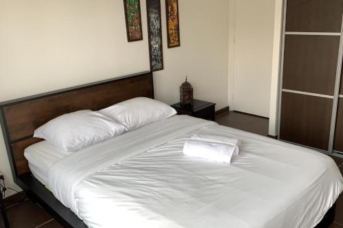Center of Lille - Nice 70m2 apartment 2rooms
