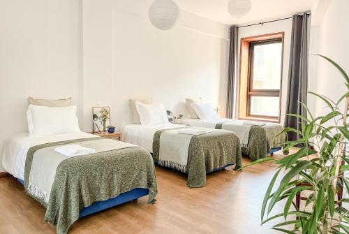 Central and Spacious Loft with free parking
