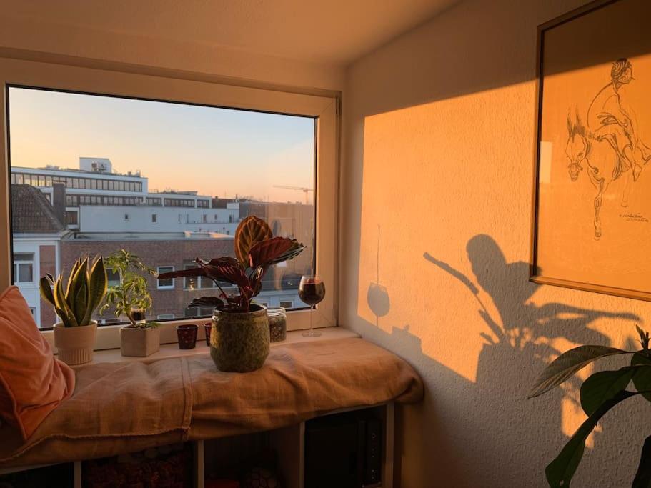 Central artist apartment, skyline view & breakfast inclusive 30 Schützenstraße, 22761 Hambourg