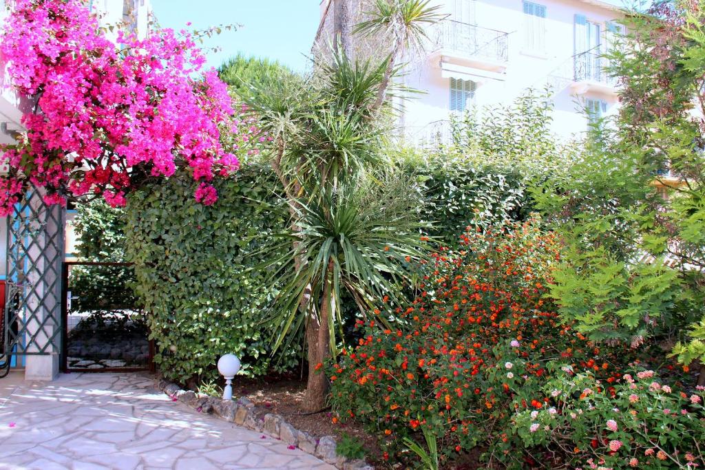 Appartement Central avec Jardin 6-8, rue du Docteur Calmette 06400 Cannes