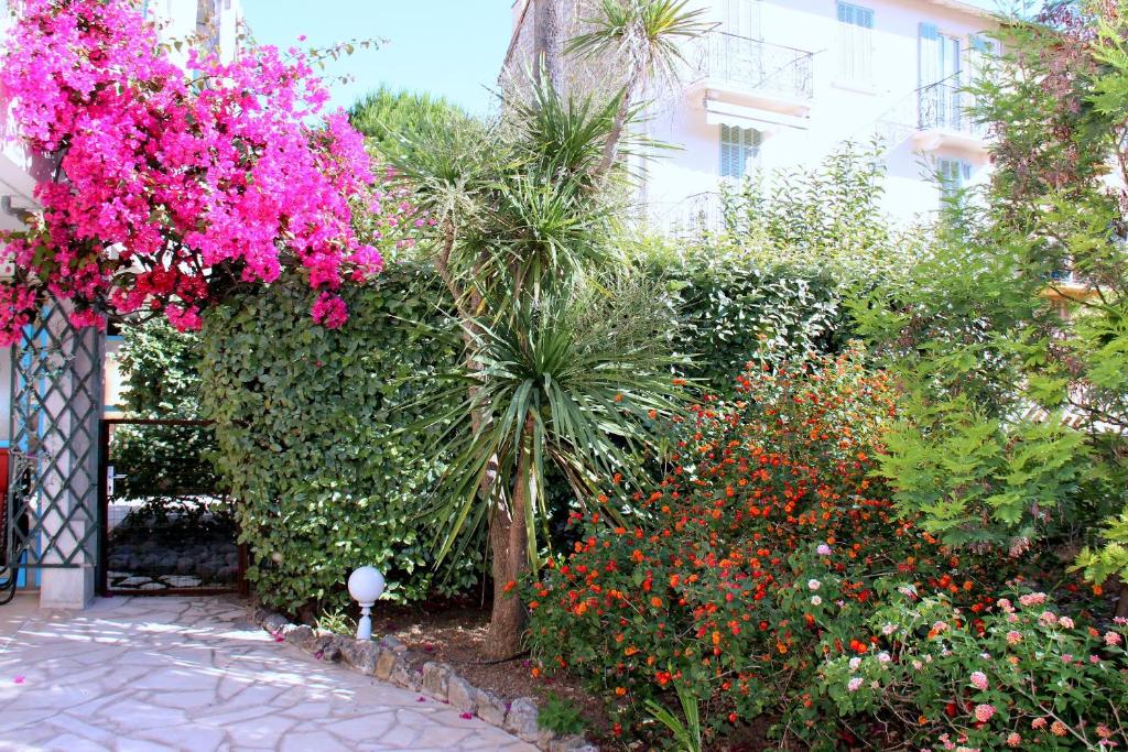 Central avec Jardin 6-8, rue du Docteur Calmette, 06400 Cannes