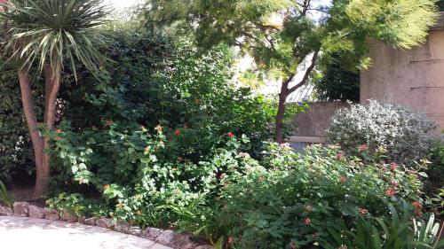 Central avec Jardin