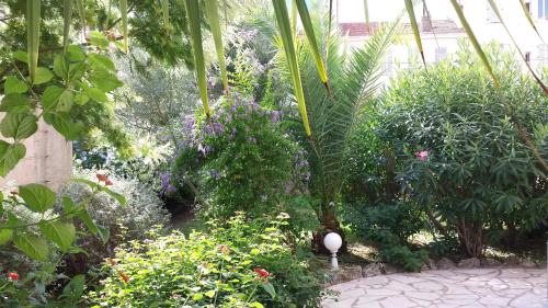 Central avec Jardin
