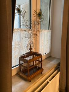 Central City Privatapartment Relax-Inn, Netflix & Sky TV!