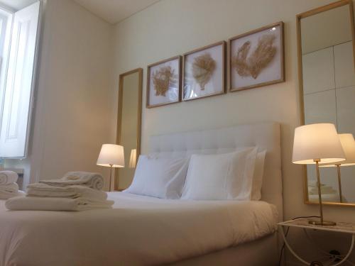 Central Lisbon Classic Apartment