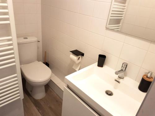 Centre de Reims Appartement Duplex Rénové