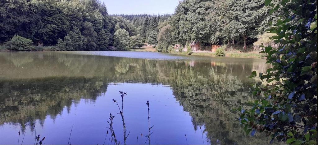 Centre historique Tours, confort, charme 2/4 p 37000 Tours