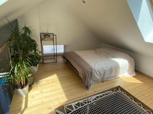 Centre superbe appt 6 personnes avec terrasse