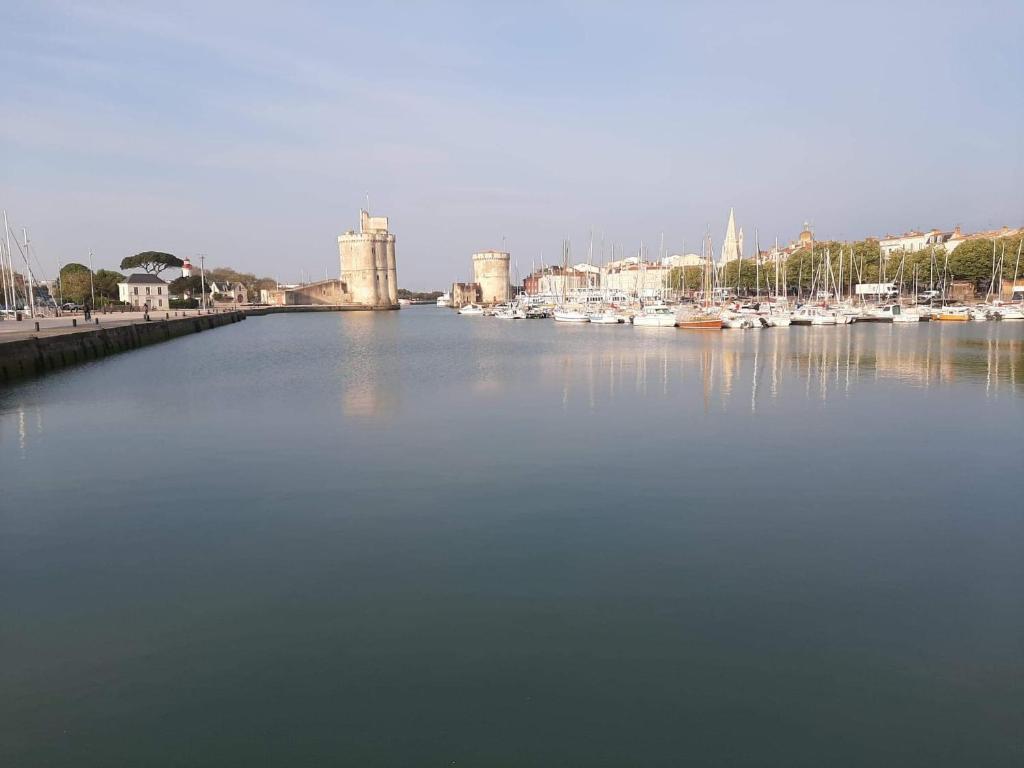 Appartement Centre-ville calme Vieux Port-WIFI & Local à vélo rez-de-chaussée 14 Cours Ladauge 17000 La Rochelle