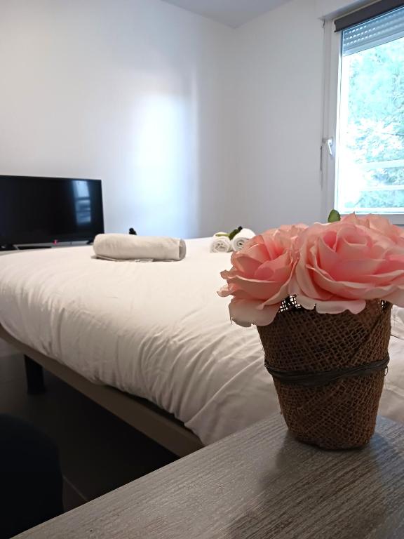 Appartement Centre Ville Juan Les Pins , 100m des plages, 70m de la gare de Juan Les Pins 18 Rue du Printemps 06160 Antibes