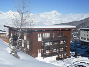 Appartement CERRO TORRE PLAGNE PLAGNE CENTRE IMMEUBLE LE CERRO TORRE 73210 Aime-La-Plagne Rhône-Alpes