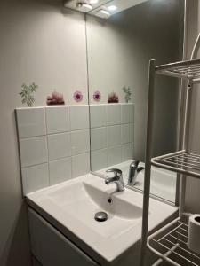 Chablis : petit studio en plein centre ville