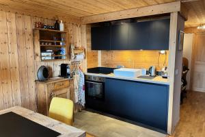 Chalet 55 m with balcony - Mont Blanc view