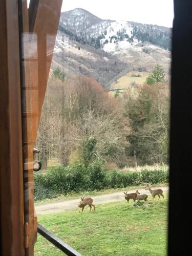 Chalet avec cheminée, calme et vue panoramique