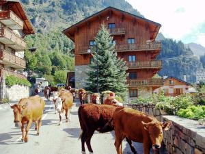 Appartement Chalet Bouquetin- Martre Cd91b 73350 Champagny-en-Vanoise Rhône-Alpes